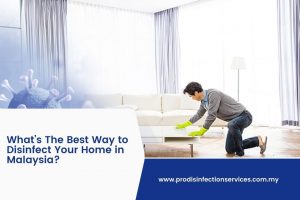 What’s The Best Way to Disinfect Your Home in Malaysia