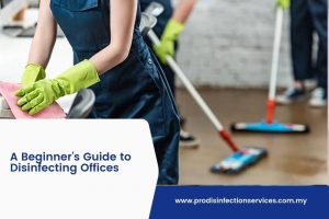 A Beginner's Guide to Disinfecting Offices