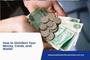 How to Disinfect Your Money, Cards, and Wallet