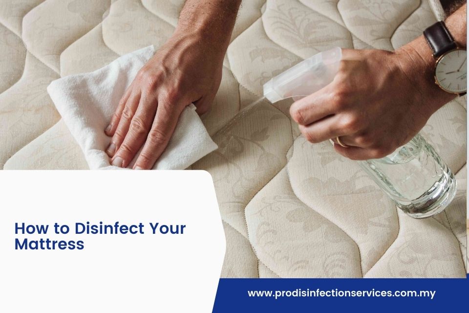 How to Disinfect Your Mattress