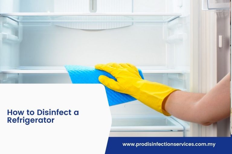 How to Disinfect a Refrigerator What You Must Know