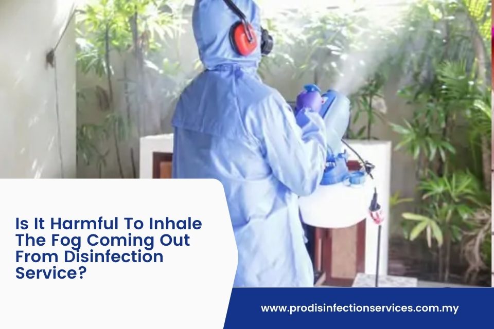 Is It Harmful To Inhale The Fog Coming Out From Disinfection Service?