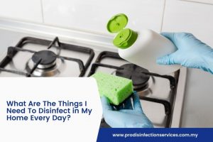 What Are The Things I Need To Disinfect in My Home Every Day?