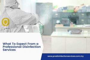 What To Expect From a Professional Disinfection Services